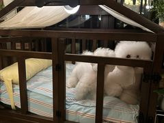 -爱侣宠医·鹦鹉专科·小型哺乳类·异宠专科(灵石路店)