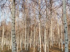 -长春市南湖公园