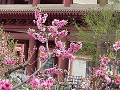 -仁寿山