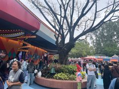 -广州长隆国际大马戏