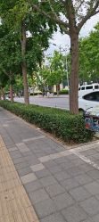 -皇家爱婴高端儿童摄影(苹果园店)
