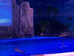 -华夏文旅海洋公园