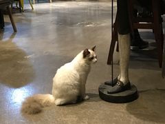 -咖法森林·咖啡  酒吧(天河店)