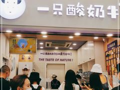 门面-一只酸奶牛(八一路店)