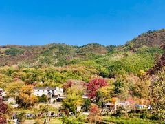 -塔川景区