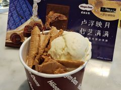 -哈根达斯(西安高新店)