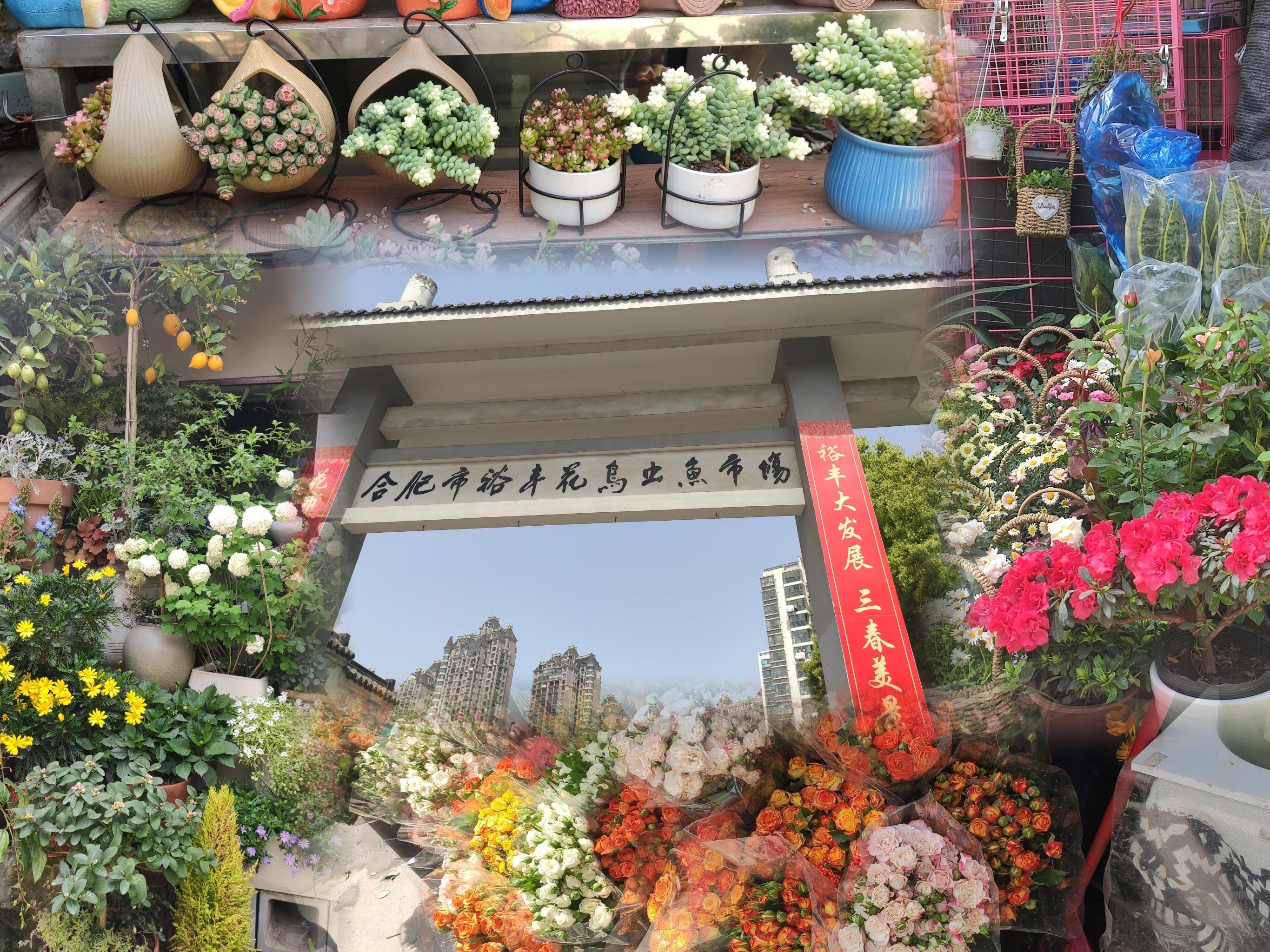 裕丰花市