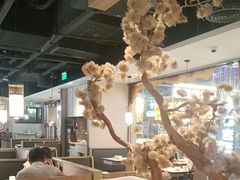 -九毛九西北菜(百信广场店)