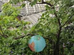 -桃源山庄·摘樱桃·柴火鸡·烧烤团建(龙泉山店)