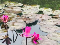 -白沙门生态公园