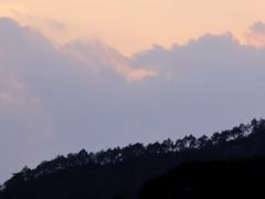 -瑶湖郊野森林公园