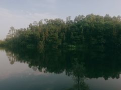 -三水森林公园