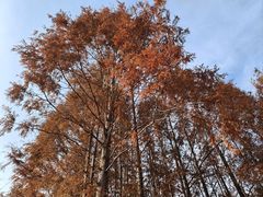 -世博源公馆·本帮融合菜·主题包厢·江景餐厅