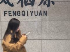 -凤栖原(地铁站)
