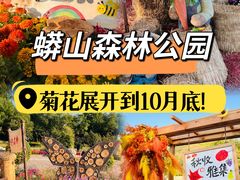 -北京十三陵国家森林公园蟒山景区