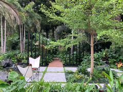 -深圳仙湖植物园