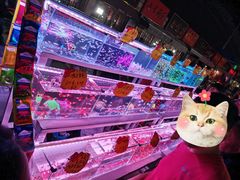 -中环花鸟鱼虫市场