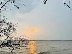 -宝安西湾红树林湿地公园