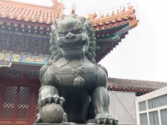 -颐和园