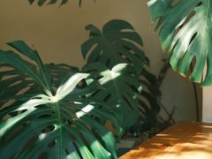 -小意思咖啡店(草桥店)