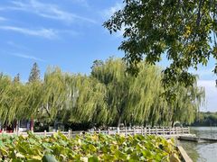 -济南大明湖景区
