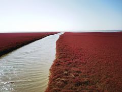 -嗨辣小聚·盘锦河蟹·海鲜烧烤龙虾(盘锦十年好店)