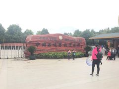 -中国西峡恐龙遗迹园