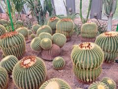 -国家植物园