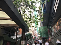 -翠园(铜锣湾广场店)