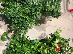 -保尔卓美园艺有限公司