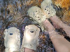 -花岩国家森林公园