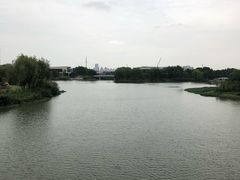 -九里河湿地公园