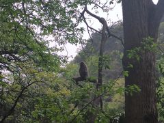 -黔灵山公园