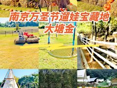 -大塘金香草谷