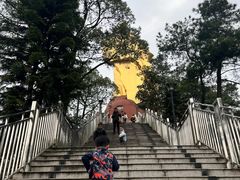 -大金鹰园