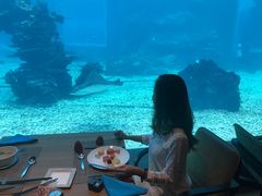 -海棠湾洲际-涛·海底餐厅·美人鱼·自助餐·海底隧道