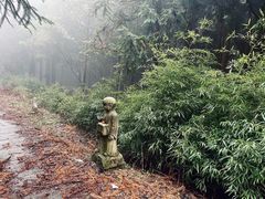 -武陵山森林公园