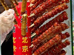 -和禄德冰糖葫芦