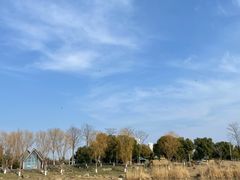 -滆湖低碳生态公园