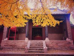 -浮来山风景区