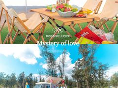 -西涌国际滨海旅游区