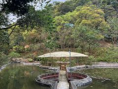 -世间香境·七溪地