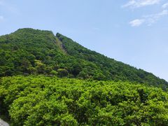 -梧桐山风景名胜区