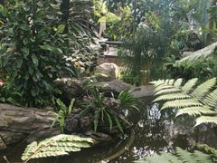 -北京植物园-展览温室