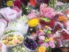 -秦美花卉(天朗·莱茵小城2期店)