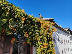 -瑞丰园庭院餐厅·白族传统家常菜