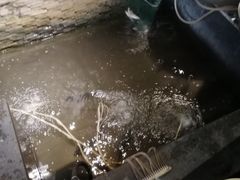 -水上人家民俗餐厅(洱海公园店)