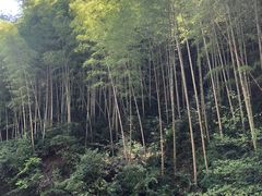 -林坑古村落