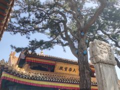 -五台山风景名胜区