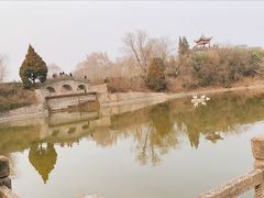 -宝鸡植物园